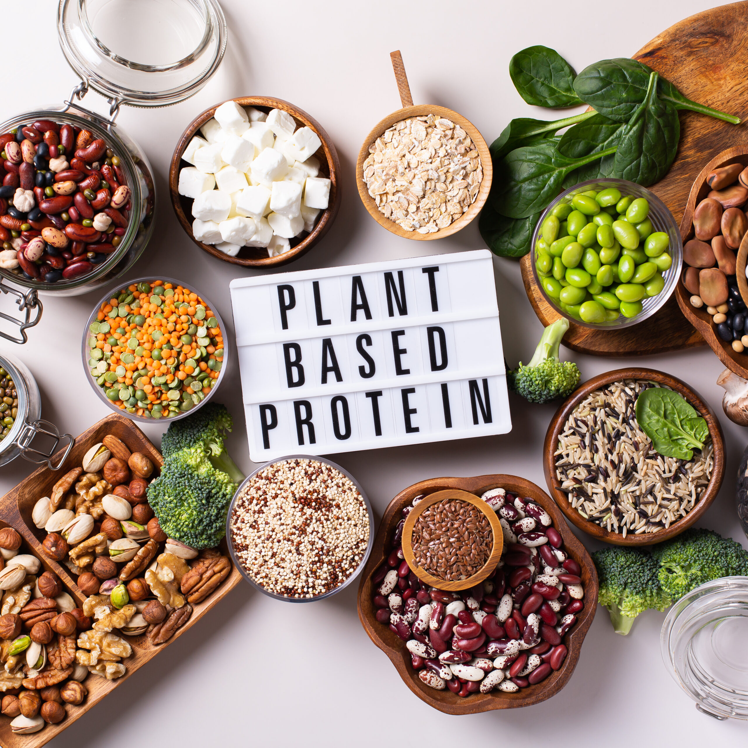 Variety of Plant-Based Protein Foods, legumes, nuts, whole grains