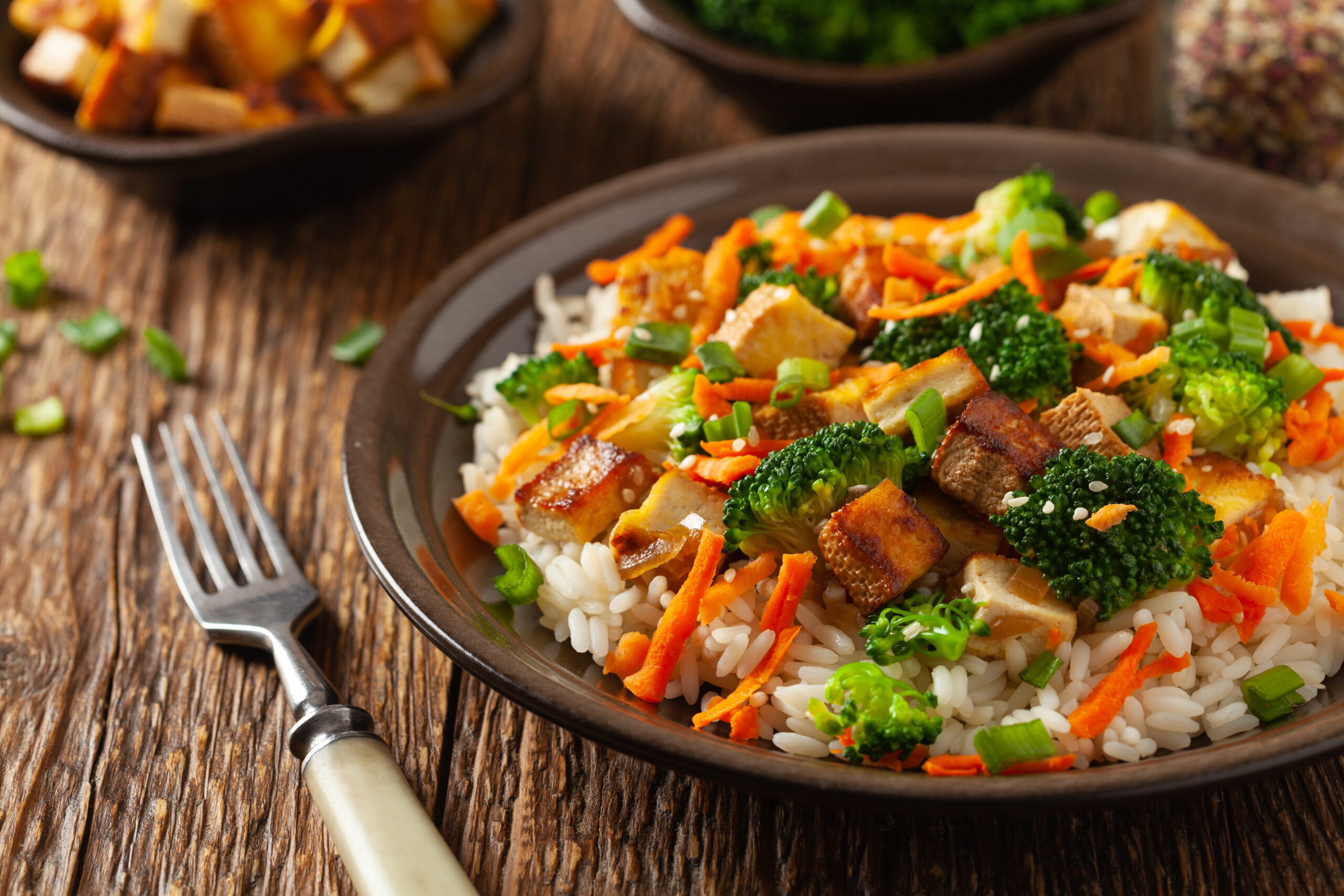 Tofu with Rice and Vegetables